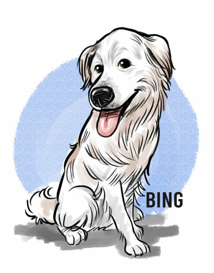 Digital 3 subject pet popular color caricature