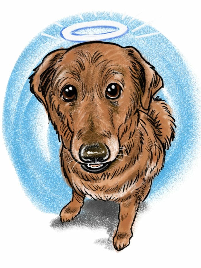 Pet-Dog-Cartoon-Caricature-Portrait