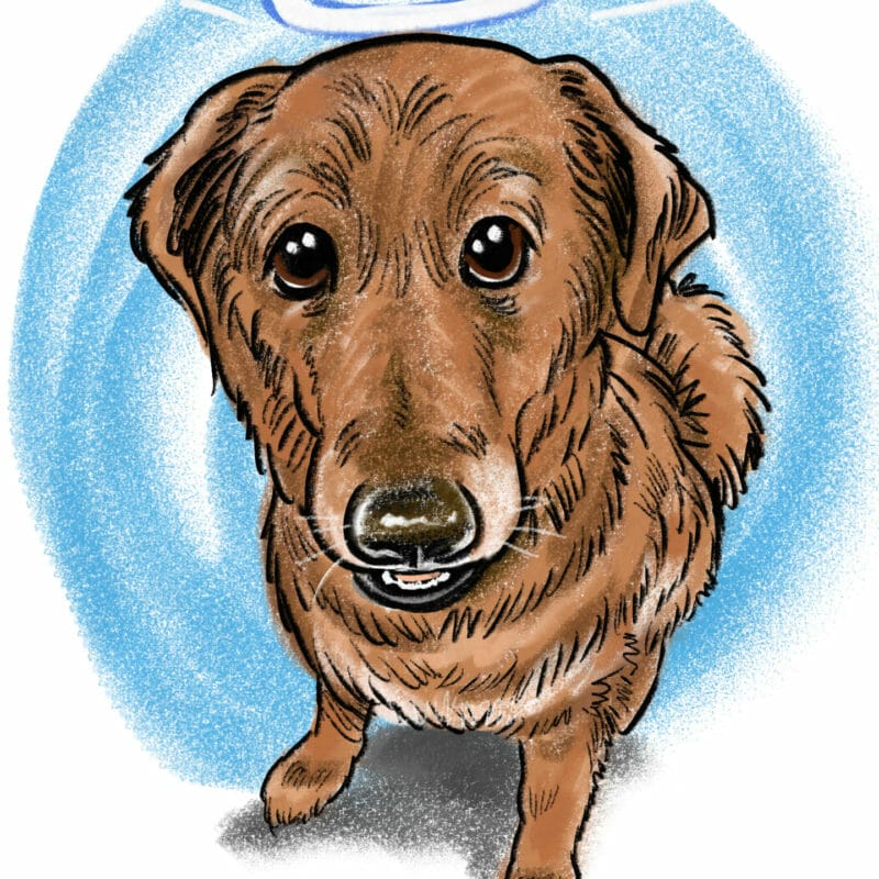Pet-Dog-Cartoon-Caricature-Portrait