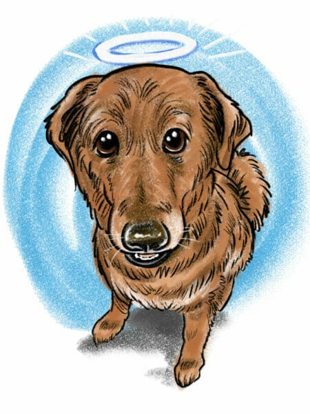 Digital 3 subject pet 2024 color caricature